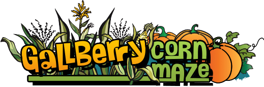 Gallberry Corn Maze header image